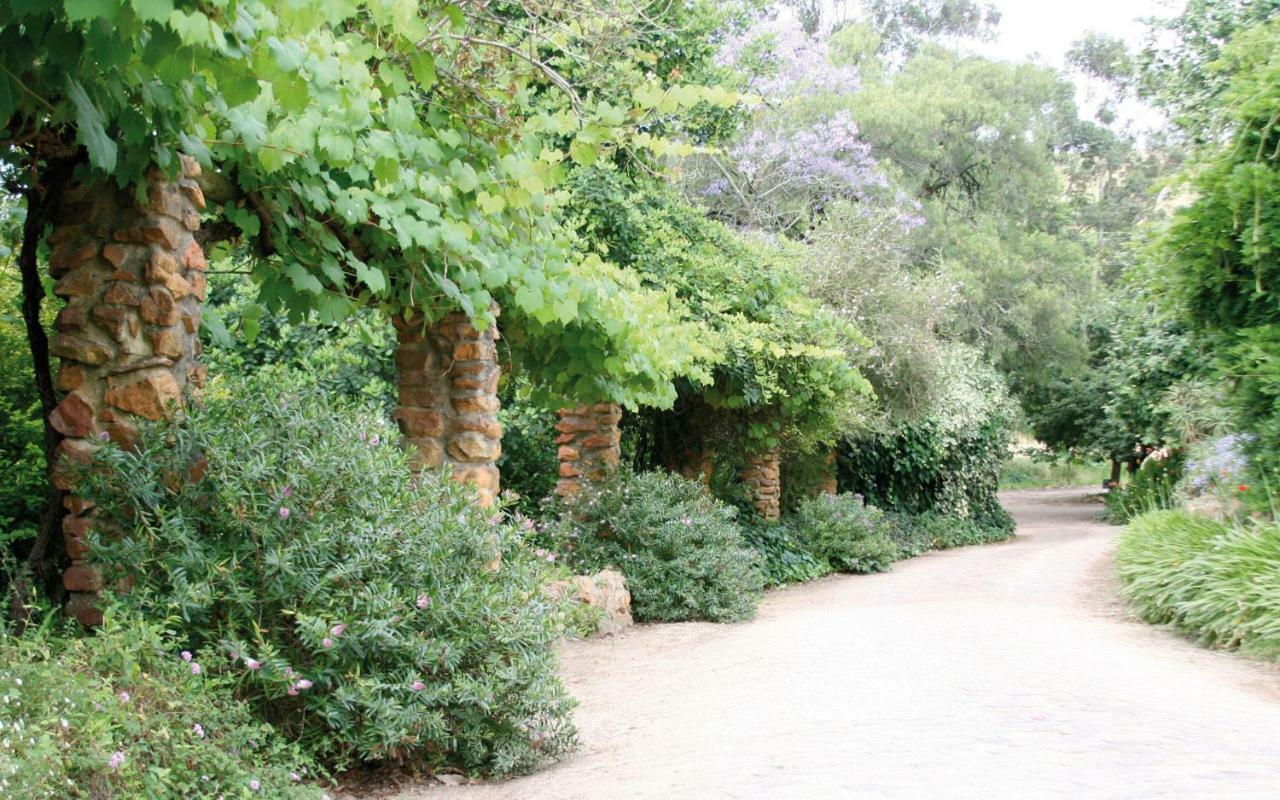 Апартаменты Mooiplaas Wine Estate Стелленбос Экстерьер фото