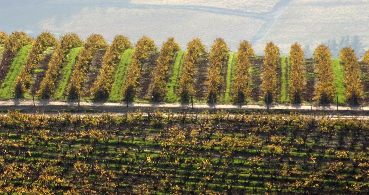 Апартаменты Mooiplaas Wine Estate Стелленбос Экстерьер фото