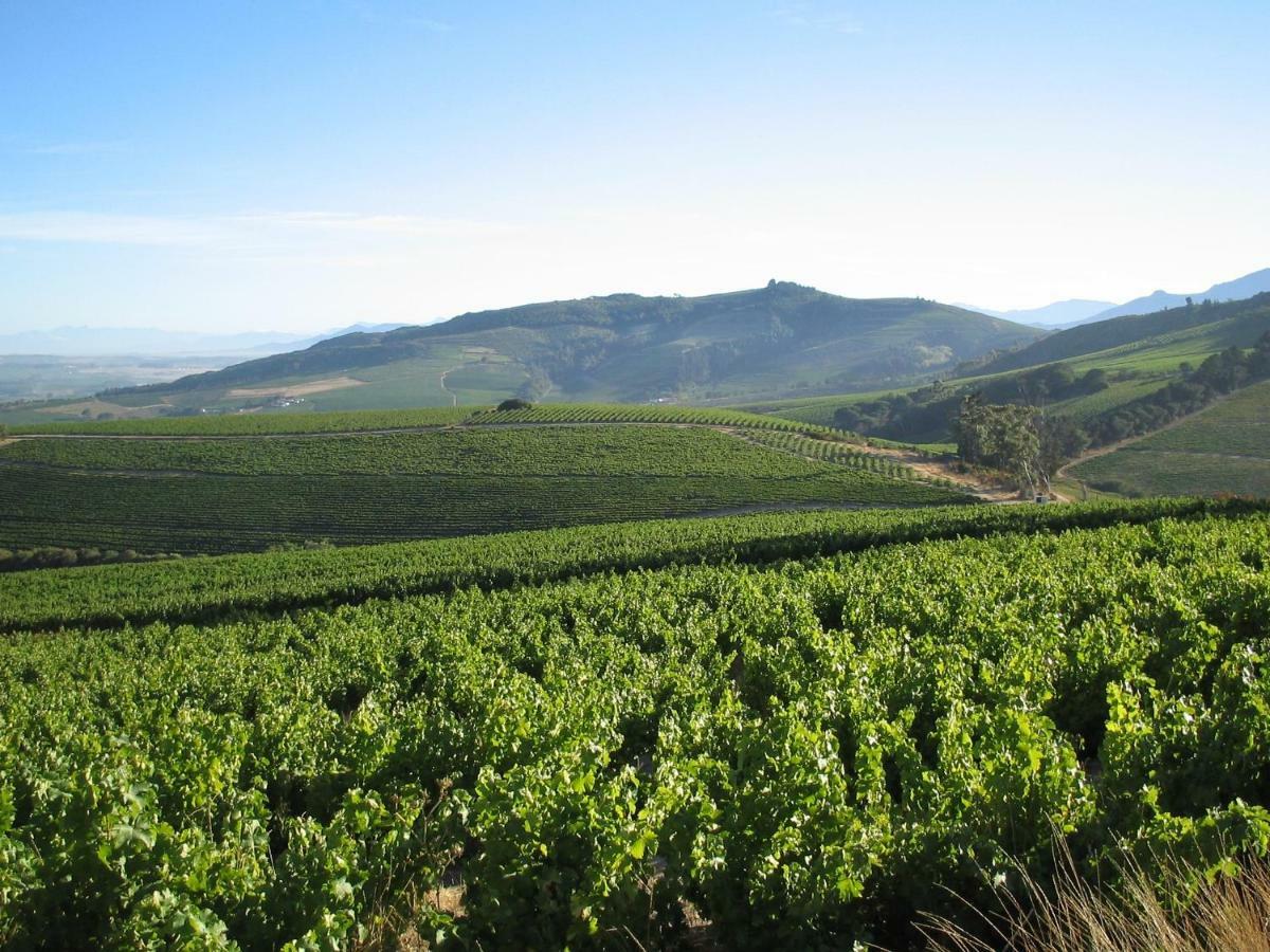 Апартаменты Mooiplaas Wine Estate Стелленбос Экстерьер фото